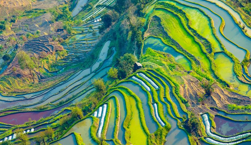 走进南山区TVC拍摄：解锁本地化场景与创意镜头的完美融合